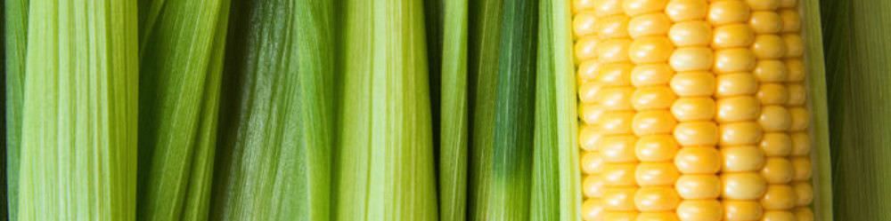 Grow Sweetcorn Seeds