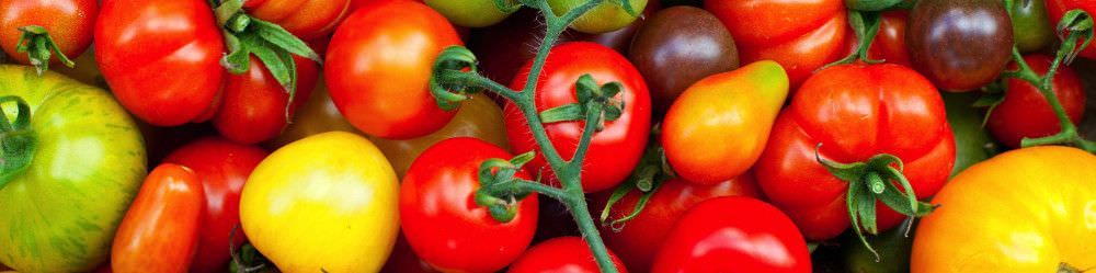 Buy Tomato Seeds.