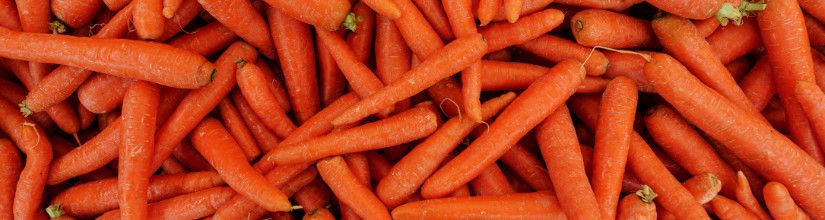Organic Carrot Seed